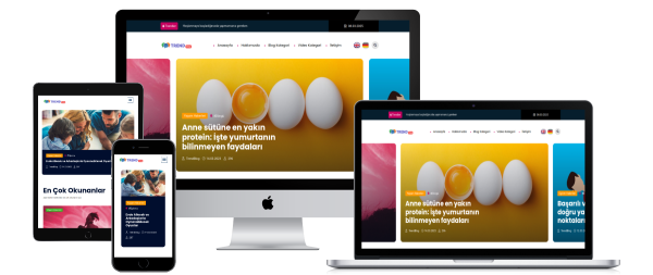Blog & Haber Scripti v2